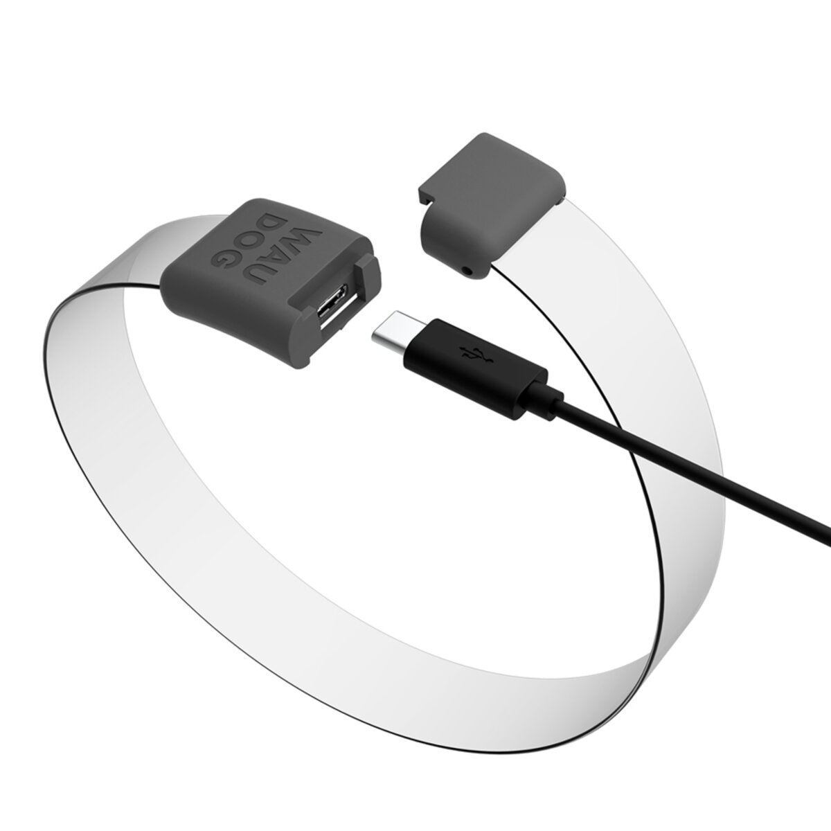 LED Halsband RGB 