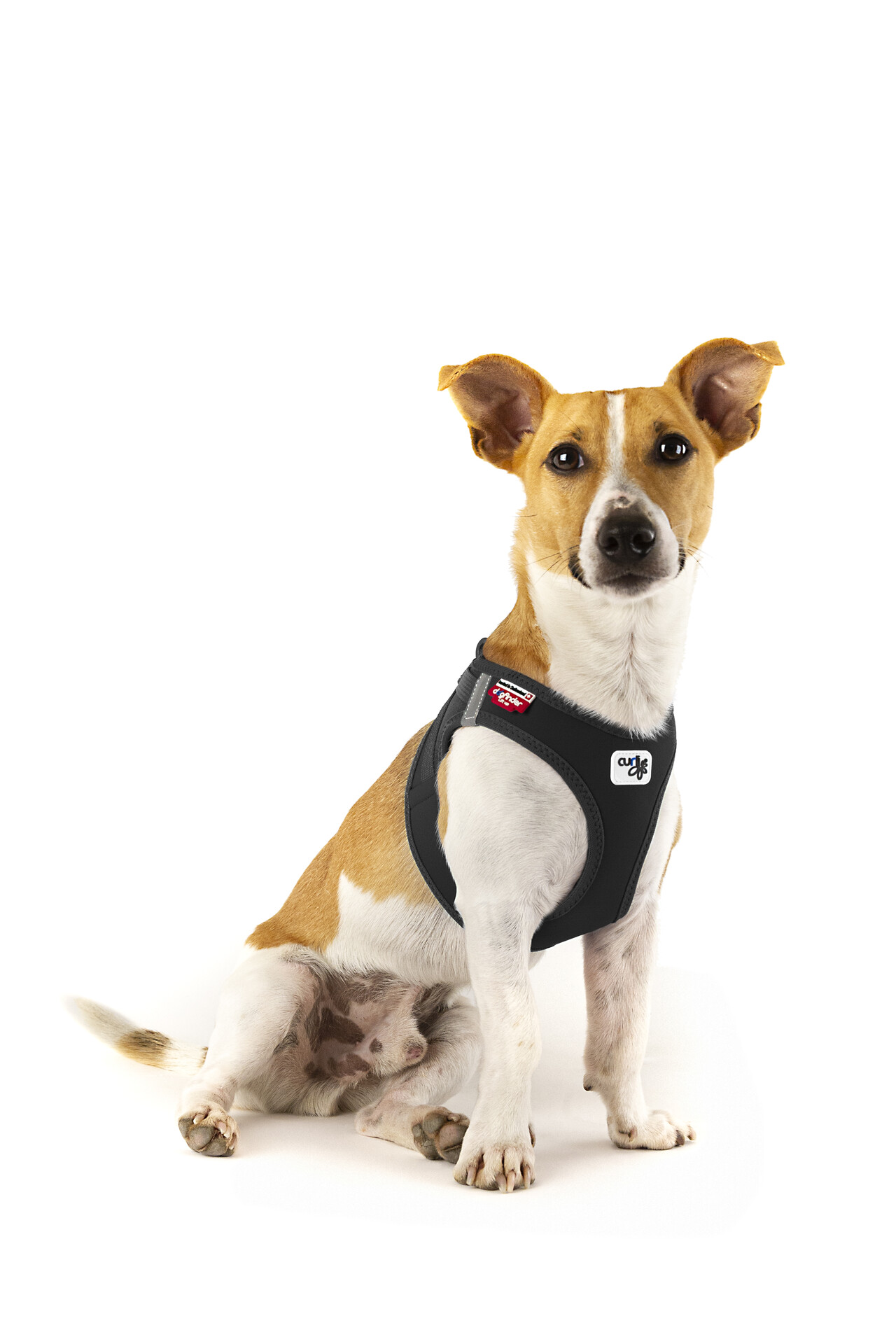 Croci Hundegeschirr Double Face Sancho, Größe L – Bequem, Verstellbar, Mit Fleece-Polsterung