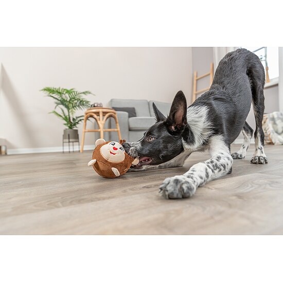 Bild 3 - Hundespielzeug Pl�sch Affe ohne Quietscher