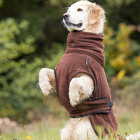 Bild 2 - Hundemantel Dryup Cape braun