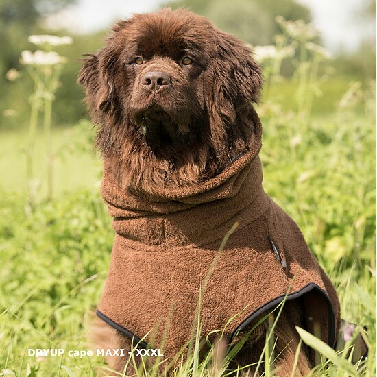 Bild 2 - Hundemantel Dryup Cape Big braun