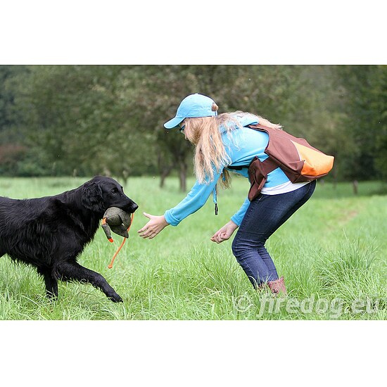 Bild 3 - Firedog Kinder Dummyweste Trainer schwarz/pink Gr��e: 140-146
