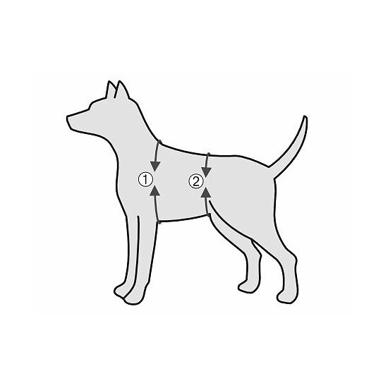 Bild 6 - Gehhilfe f�r Hunde