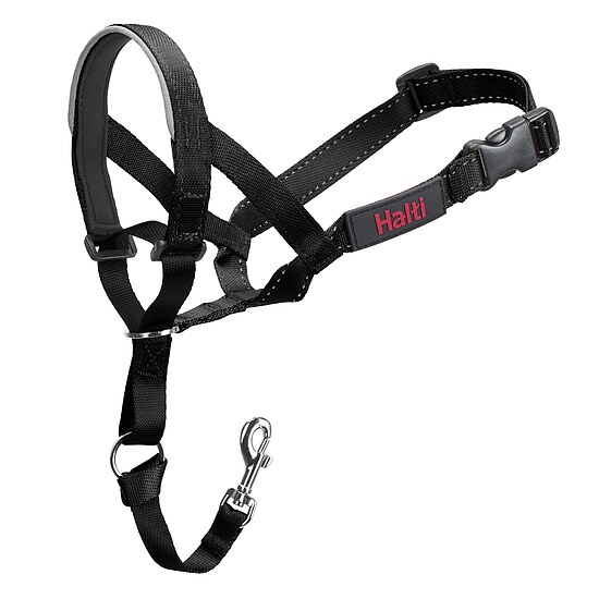 Bild 5 - Dr. Mugford Halti Headcollar schwarz