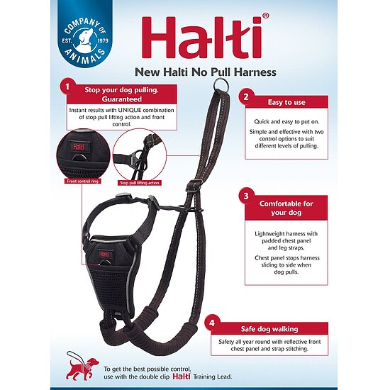 Bild 3 - Dr. Mugford Halti No Pull Harness Hundegeschirr