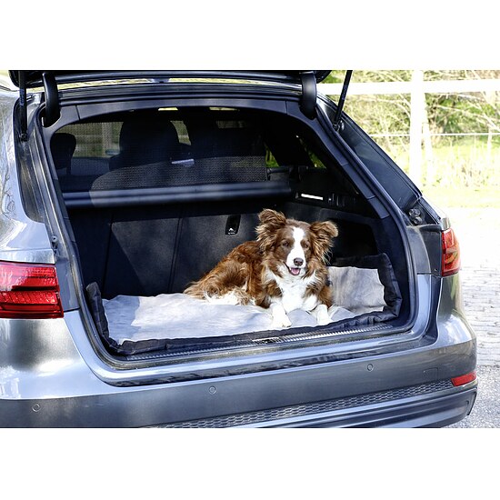 Bild 3 - Hundematte Trip