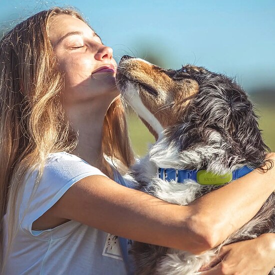 Bild 3 - Kippy Dog GPS Tracker f�r Hunde