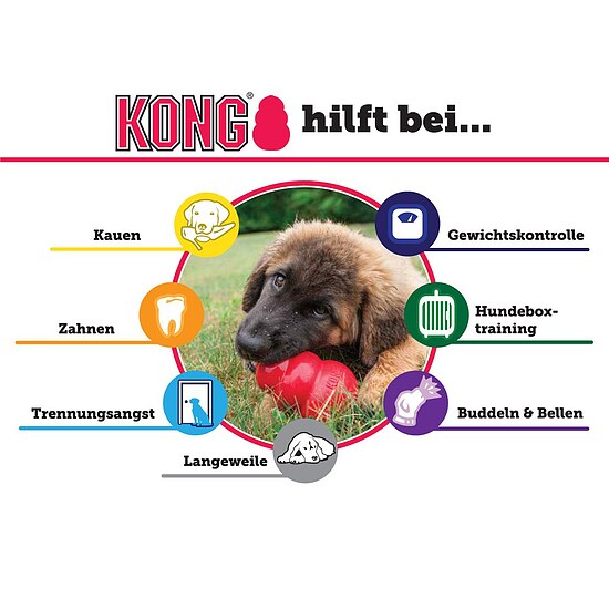 Bild 6 - KONG Puppy
