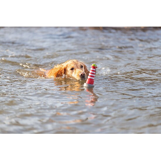 Trixie Snack Boje Aqua Toy - Hund & Freizeit