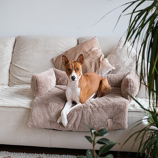 Hundebett Nuzzle 85x75x19 - Hund & Freizeit