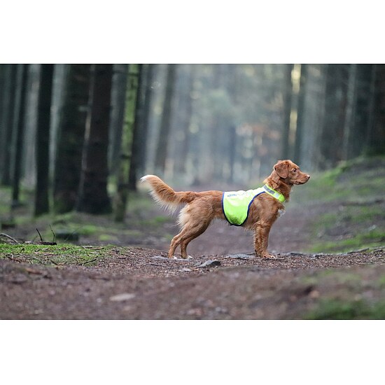 Bild 2 - ProDen Sicherheitsweste f�r Hunde