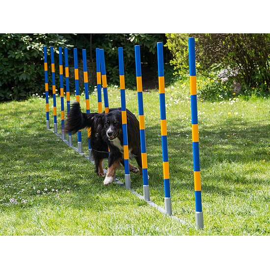 Bild 4 - Agility Profi Slalom FCI konform 12 Stangen