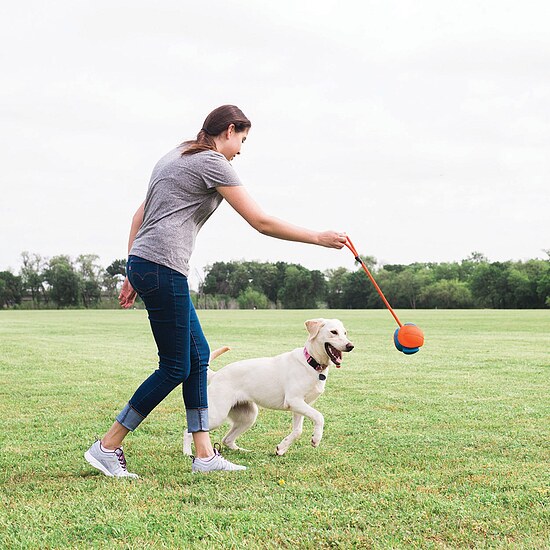 Bild 2 - Chuckit Rope Fetch Ball