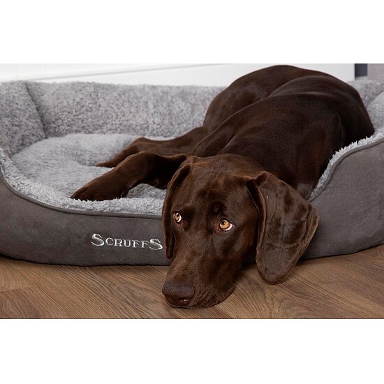 Bild 3 - Scruffs Hundebett Cosy grau