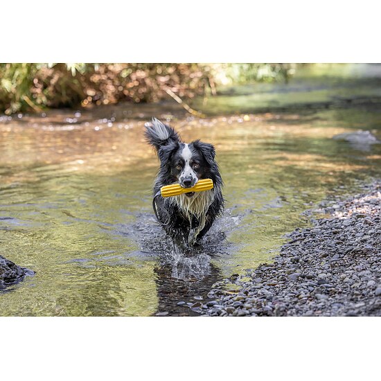 Bild 2 - Hundespielzeug Aqua Stab Schwimmend 20cm