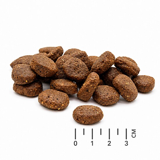 Bild 2 - TUNDRA Dog Hirsch, Lachs & Ente 11,34 kg