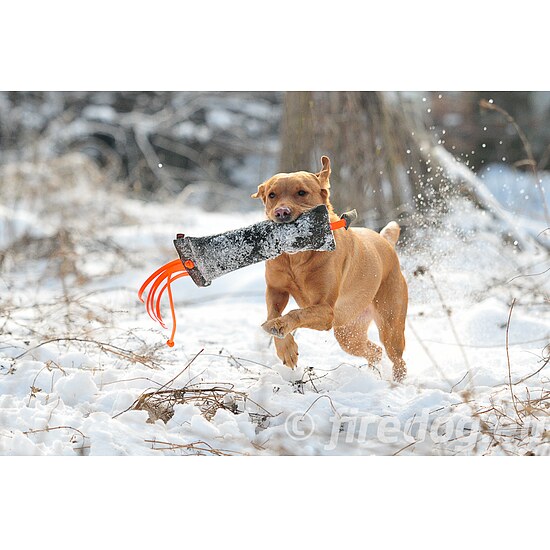 Bild 3 - Firedog Wild Dummy Fasan khaki