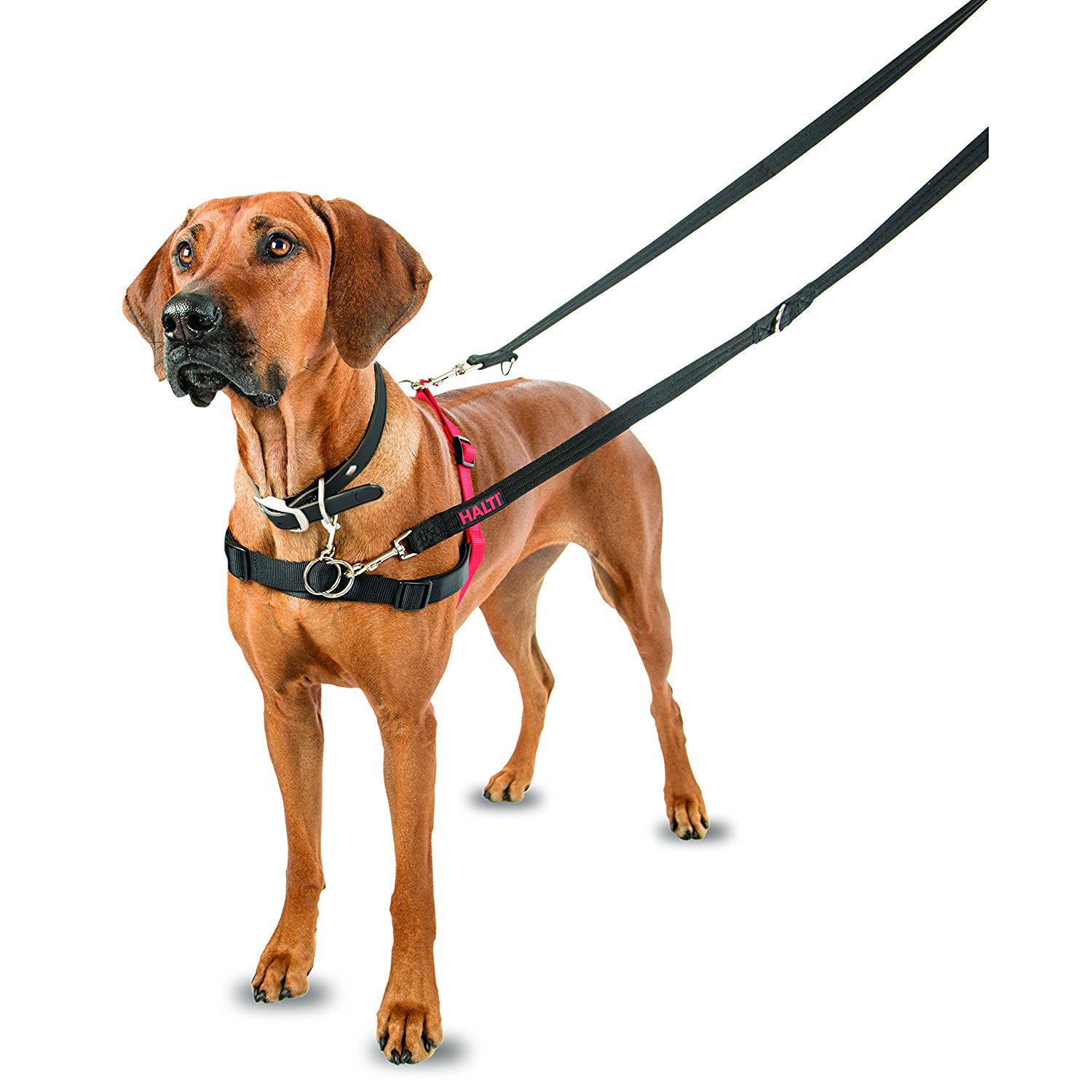 Dr. Mugford Halti Harness Hundegeschirr - Hund & Freizeit