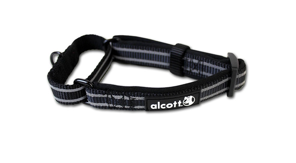 Martingale Schlupfhalsband, schwarz - Hund & Freizeit