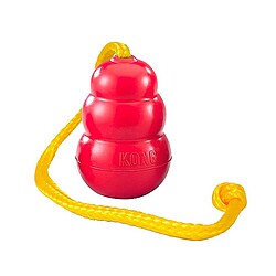 Kong