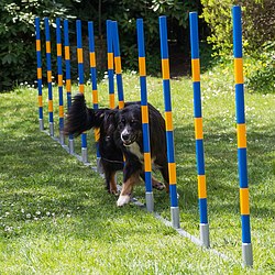 Agility