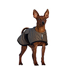 Hundebekleidung
