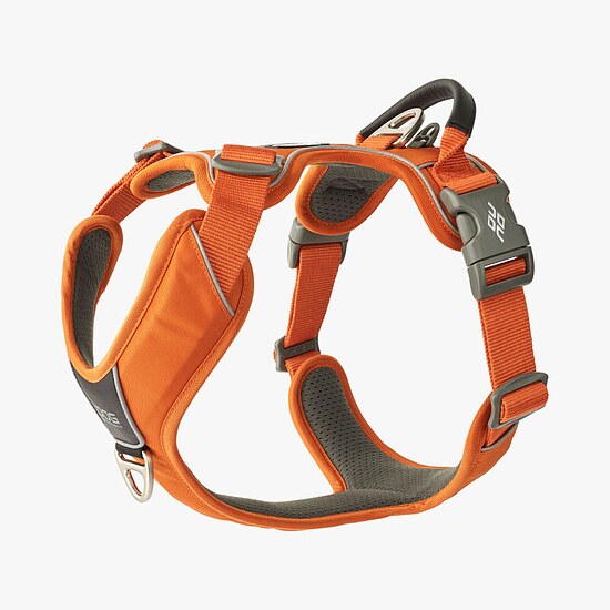 Bild 1 - Comfort Walk Pro Harness Orange Sun