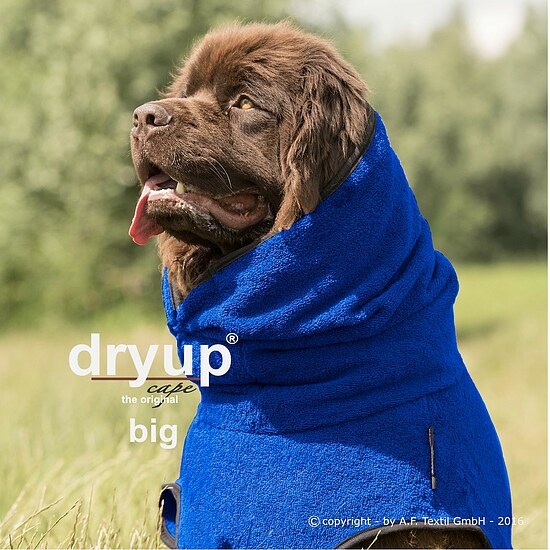 Bild 1 - Hundemantel Dryup Cape Big blueberry