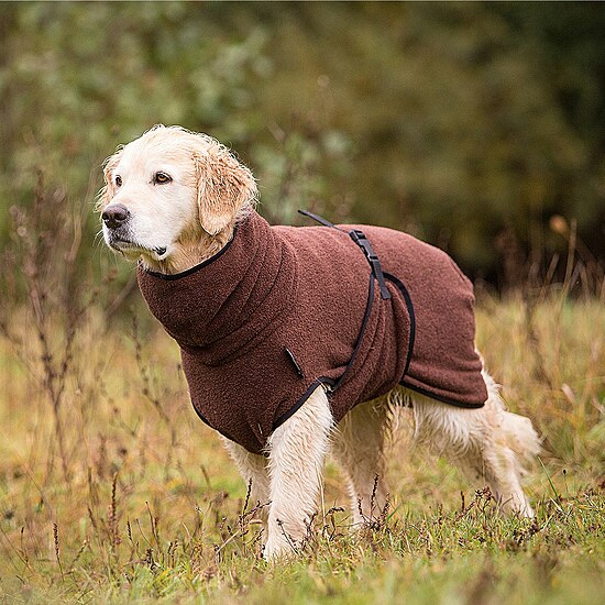 Bild 1 - Hundemantel Dryup Cape braun