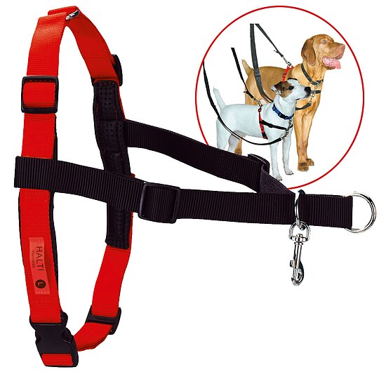 Bild 1 - Dr. Mugford Halti Harness Hundegeschirr