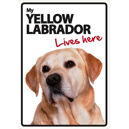 Bild 1 - Schild - My Yellow Labrador lives here