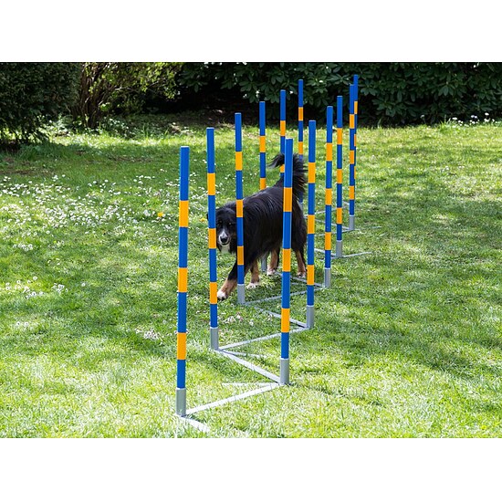 Bild 1 - Agility Profi Slalom FCI konform 12 Stangen