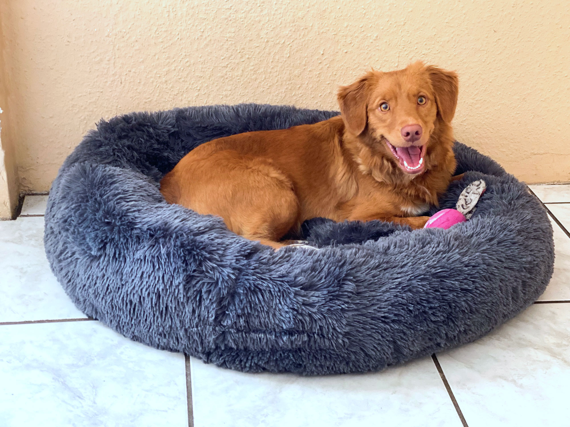 Hundebett Kuschelnest Fuffi anthrazit 80 cm - Hund & Freizeit