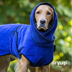 Hundemantel Dryup Cape blueberry
