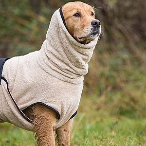 Hundemantel Dryup Cape sand