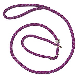 Moxonleine Everest – Reflektierend, Leicht, Kombinierte Leine & Halsband, Für Hunde
