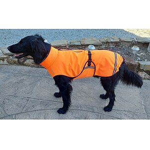 Hunderegenmantel Softshell Rainy Neon-Orange
