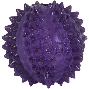 JW Bristl-ee Cactus Ball